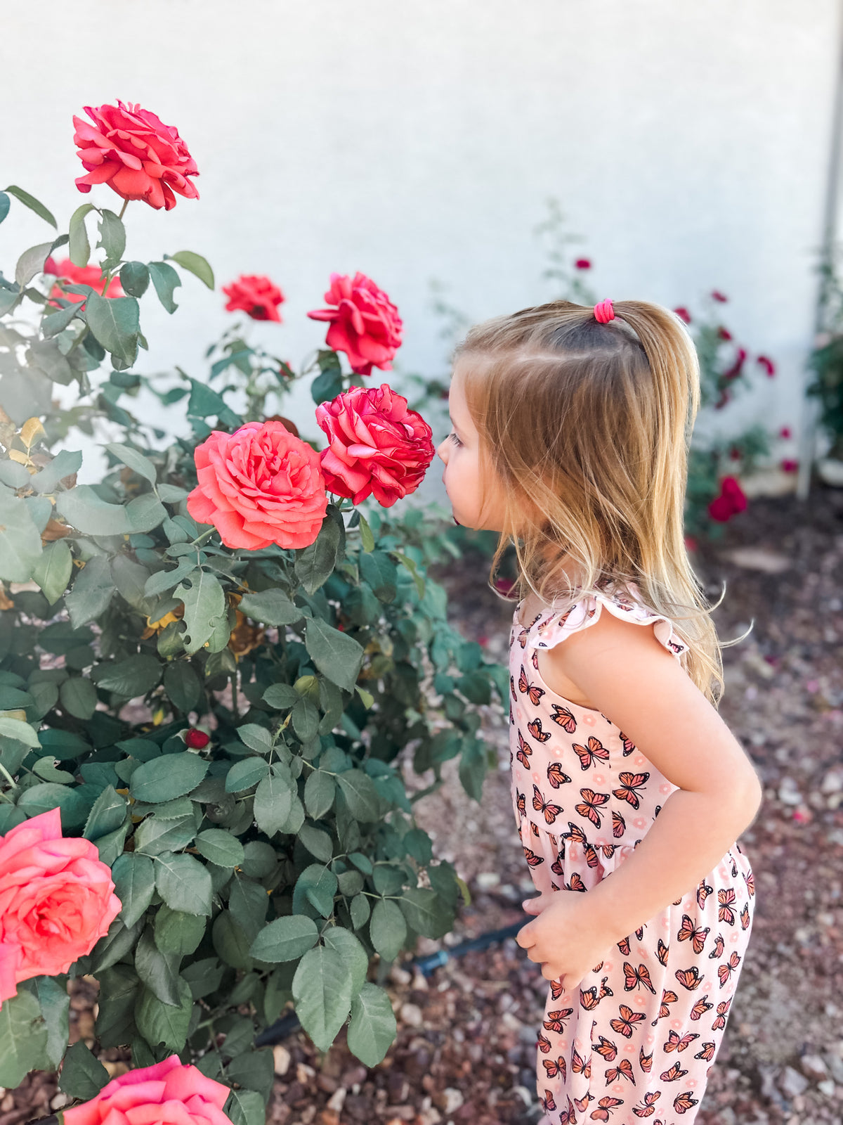 Butterfly Garden Jumpsuit
